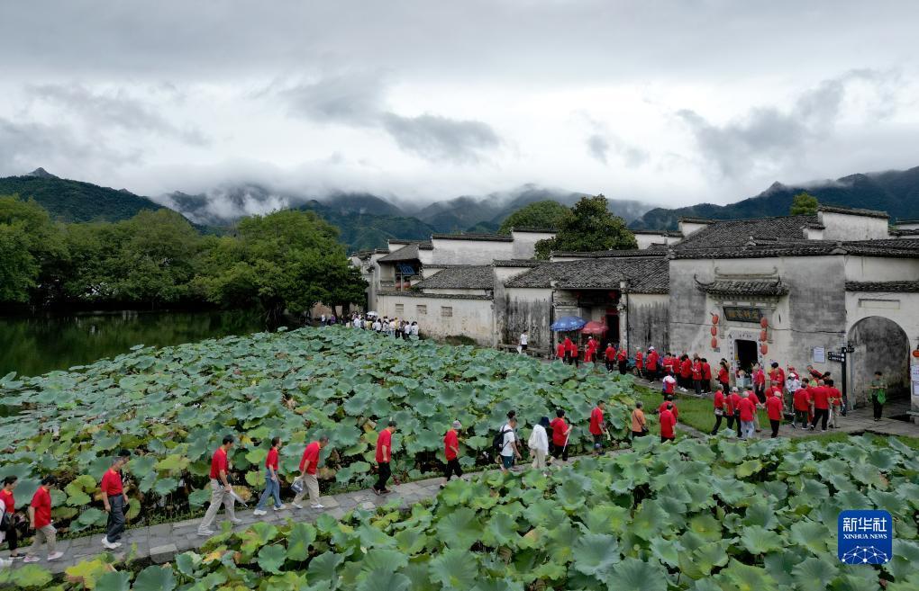 什么网站可以打牌